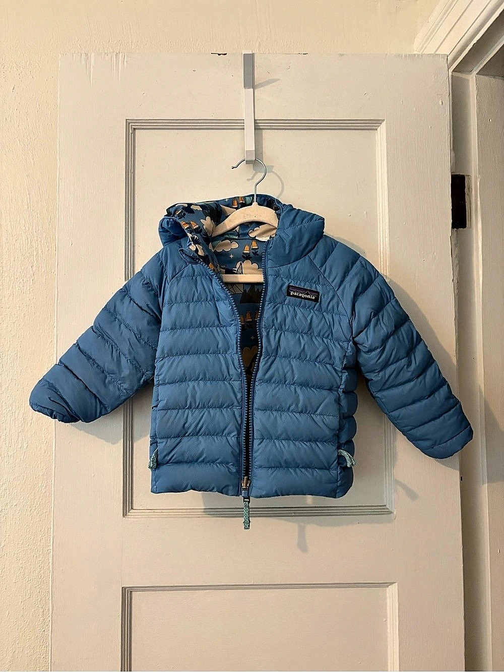 Patagonia Kids' Reversible Down Sweater Hoody Puffer